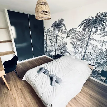 New! T5 Moderne Pres De Lille, Netflix, Wifi, Decoration Cosy *